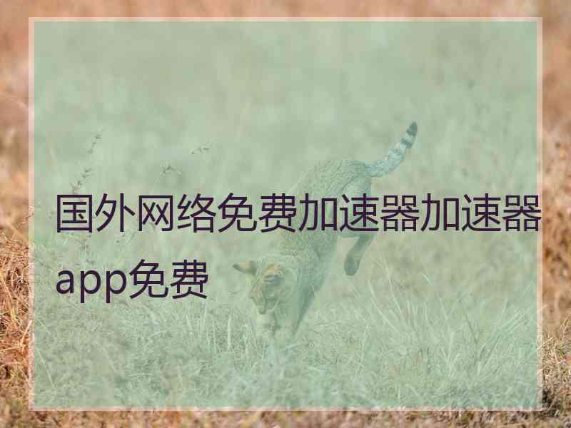 国外网络免费加速器加速器app免费