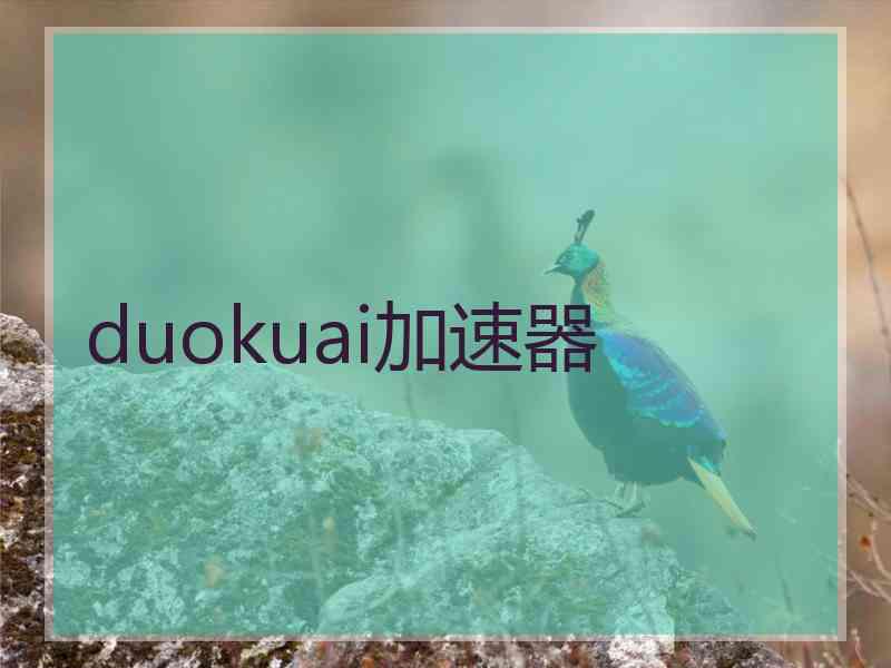 duokuai加速器