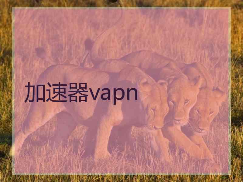 加速器vapn