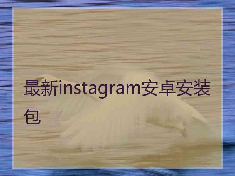 最新instagram安卓安装包