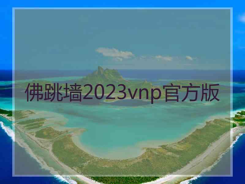 佛跳墙2023vnp官方版