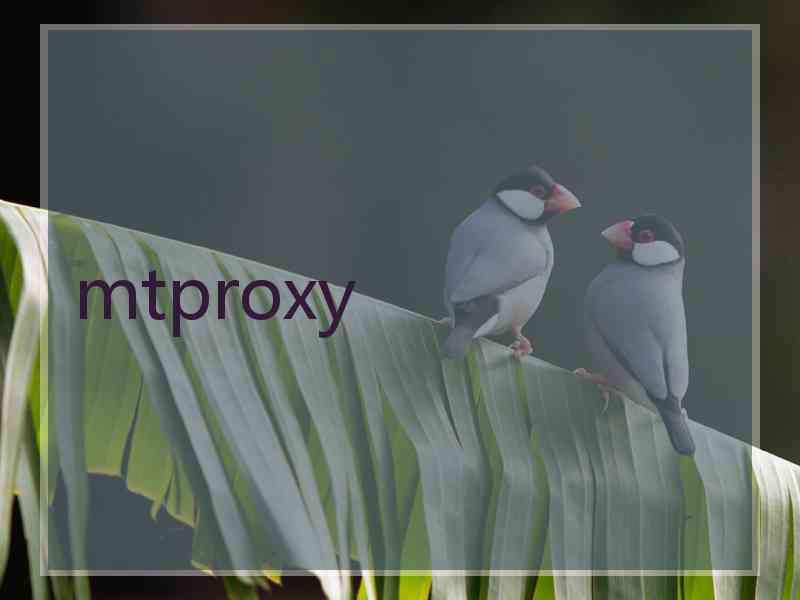 mtproxy