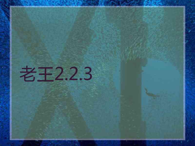 老王2.2.3