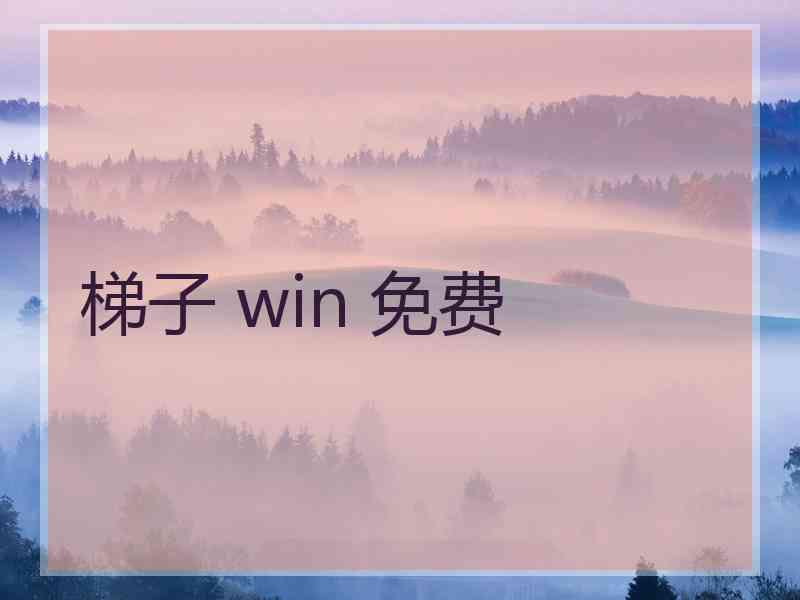 梯子 win 免费