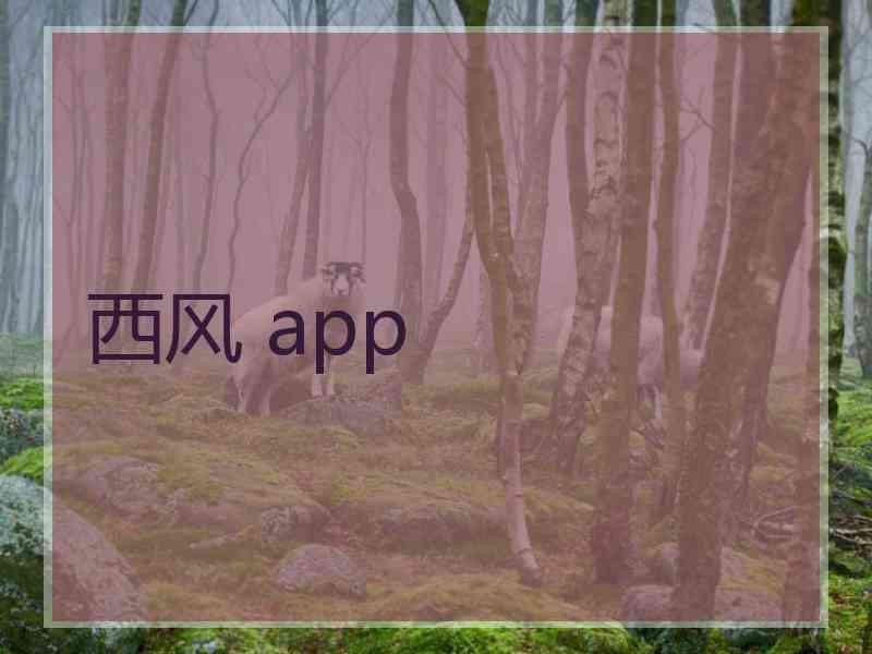 西风 app