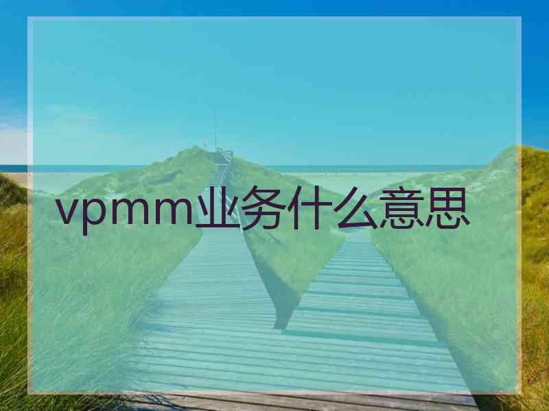 vpmm业务什么意思