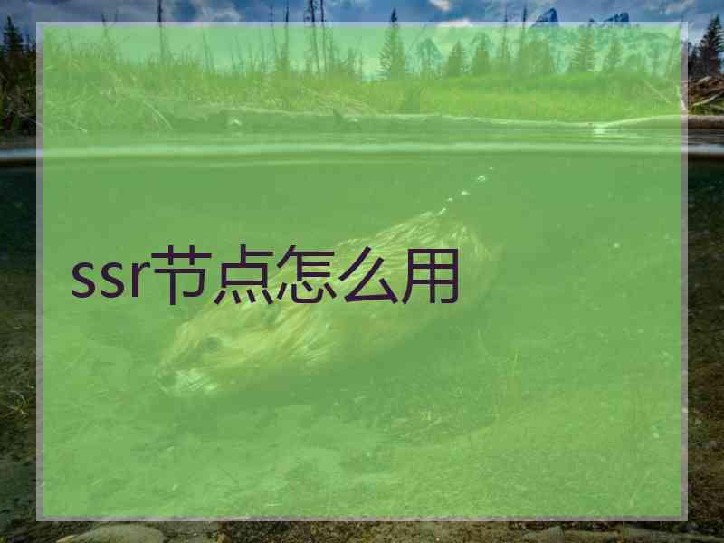 ssr节点怎么用