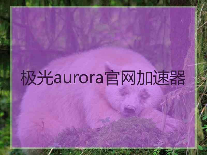 极光aurora官网加速器