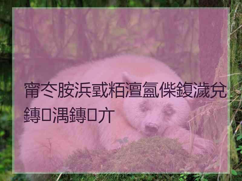 甯冭胺浜戜粨澶氳偨鍑濊兌鏄湡鏄亣