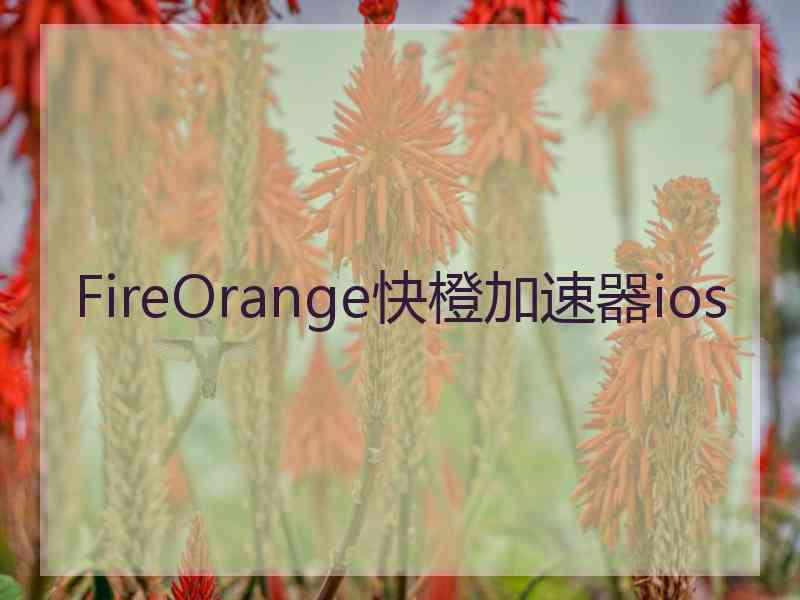 FireOrange快橙加速器ios