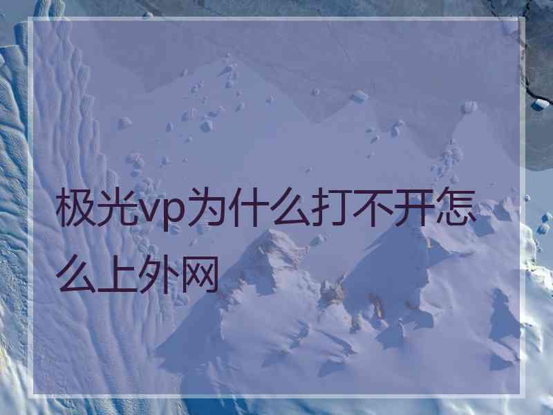 极光vp为什么打不开怎么上外网