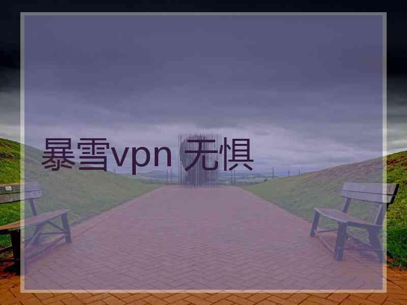 暴雪vpn 无惧