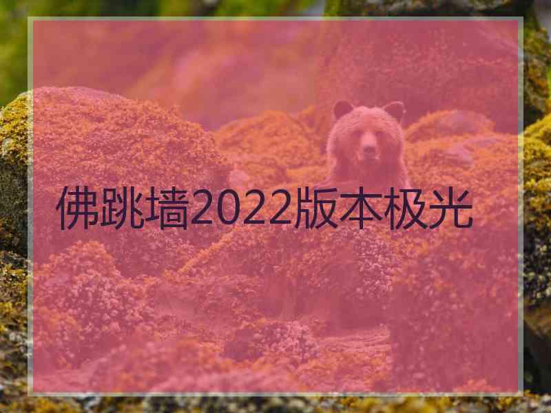 佛跳墙2022版本极光