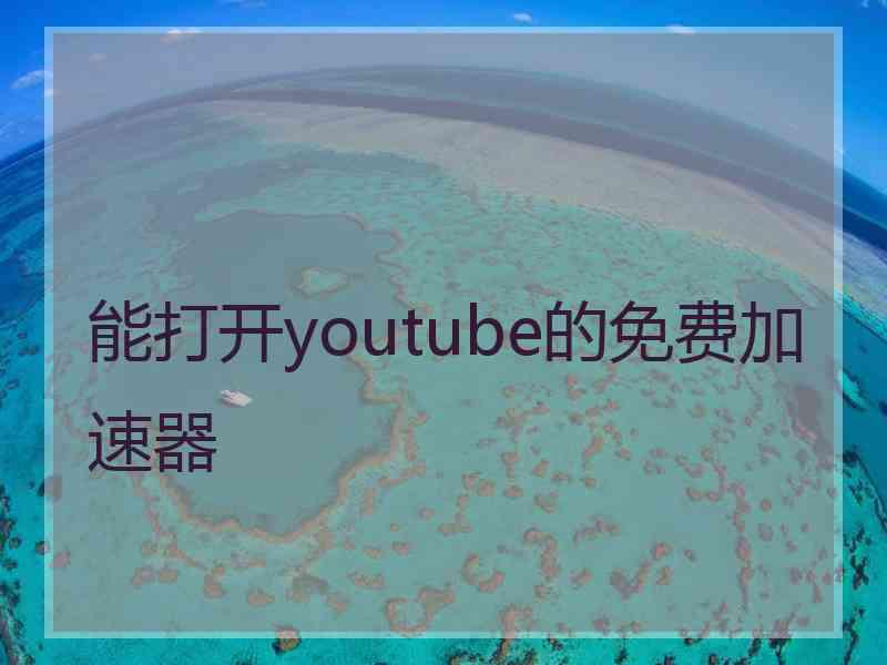 能打开youtube的免费加速器