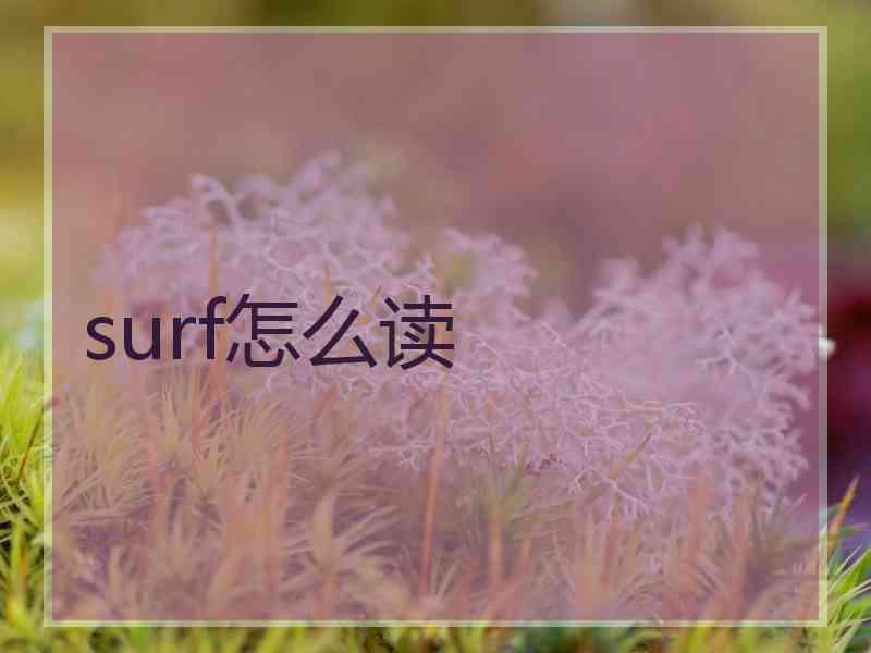 surf怎么读