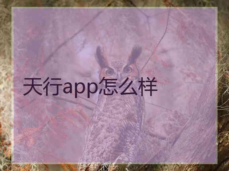 天行app怎么样