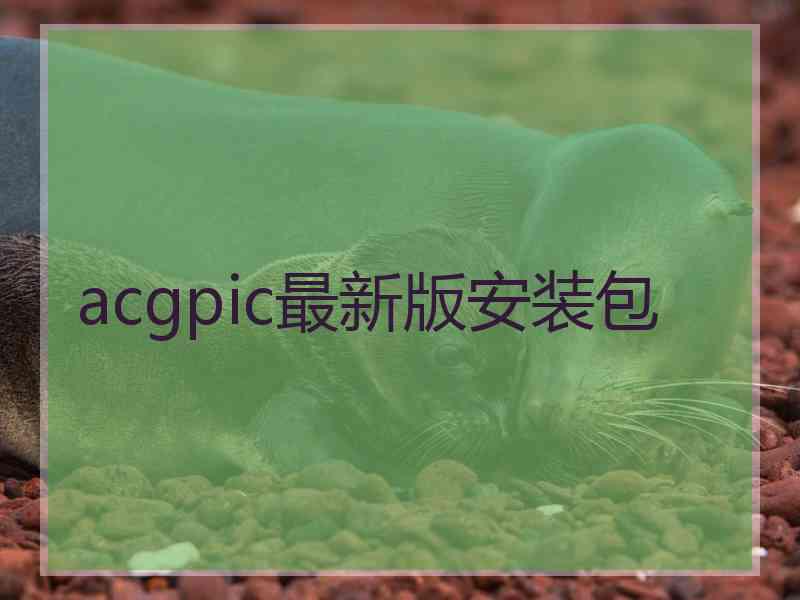 acgpic最新版安装包