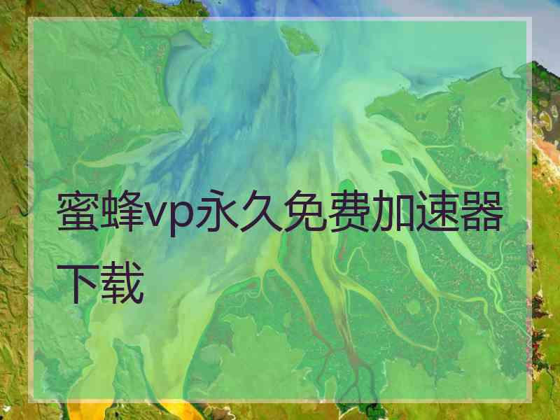 蜜蜂vp永久免费加速器下载