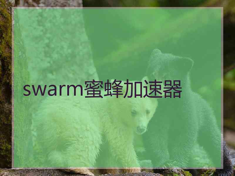 swarm蜜蜂加速器