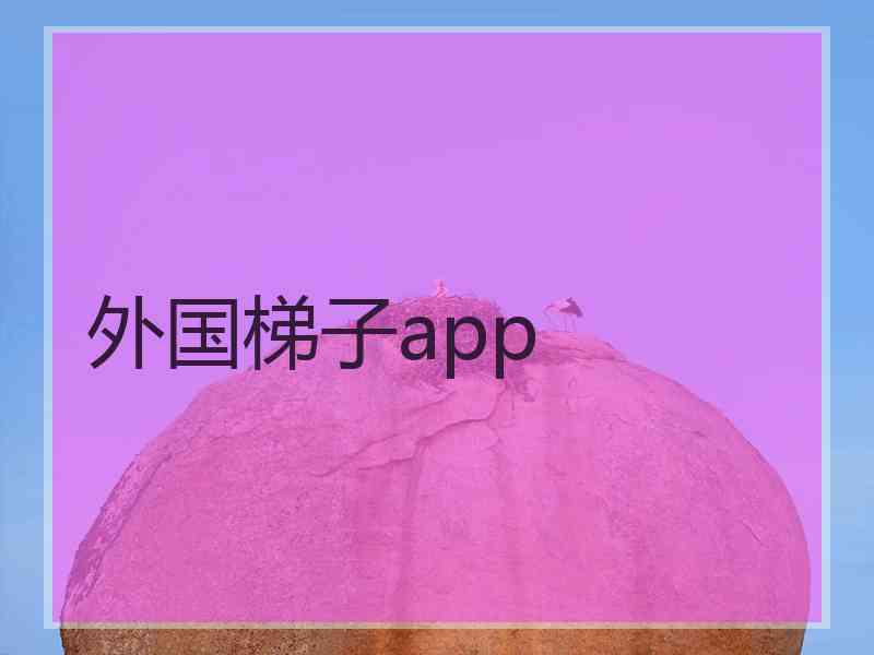 外国梯子app