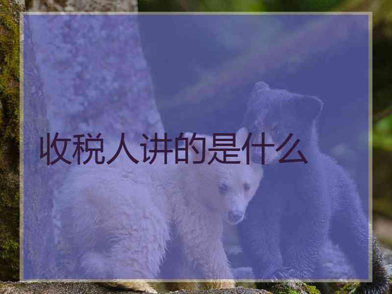 收税人讲的是什么