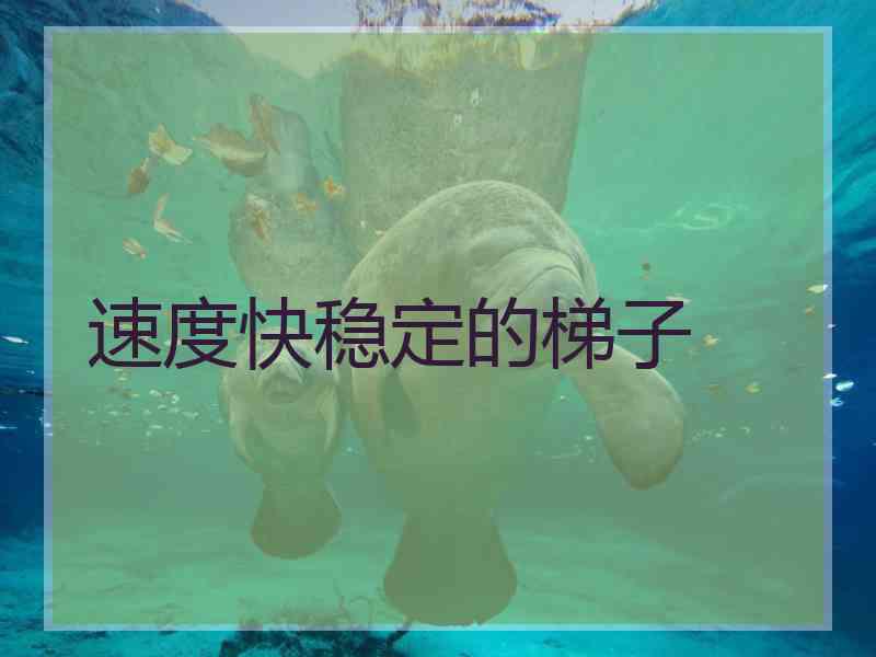 速度快稳定的梯子