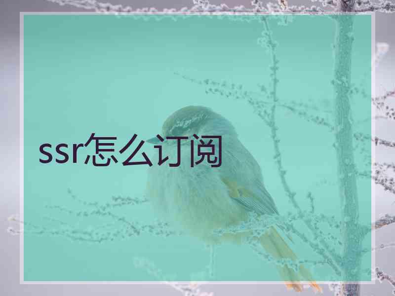 ssr怎么订阅