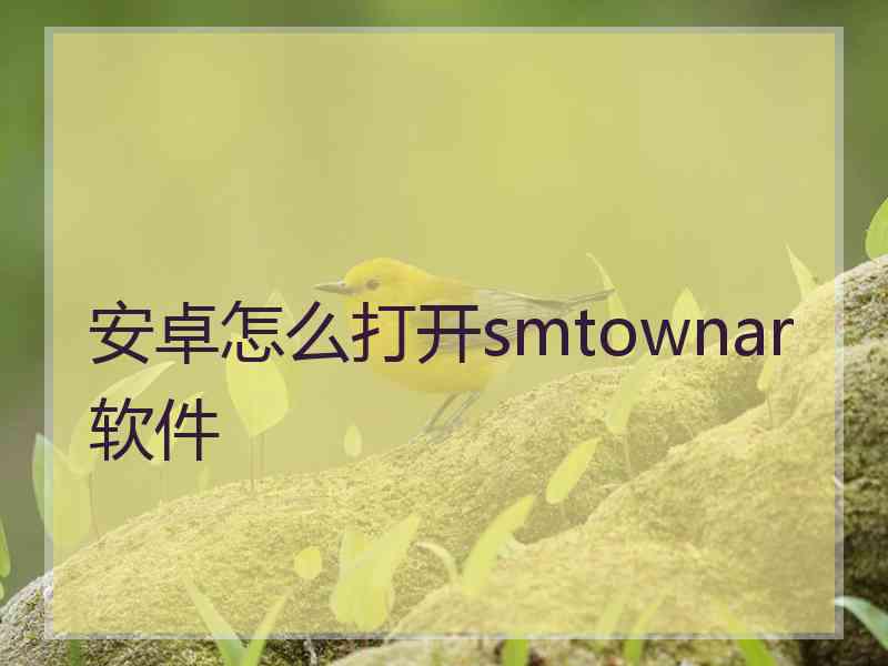 安卓怎么打开smtownar软件