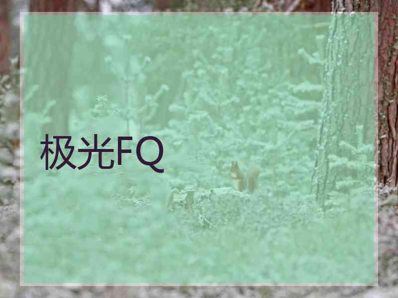 极光FQ