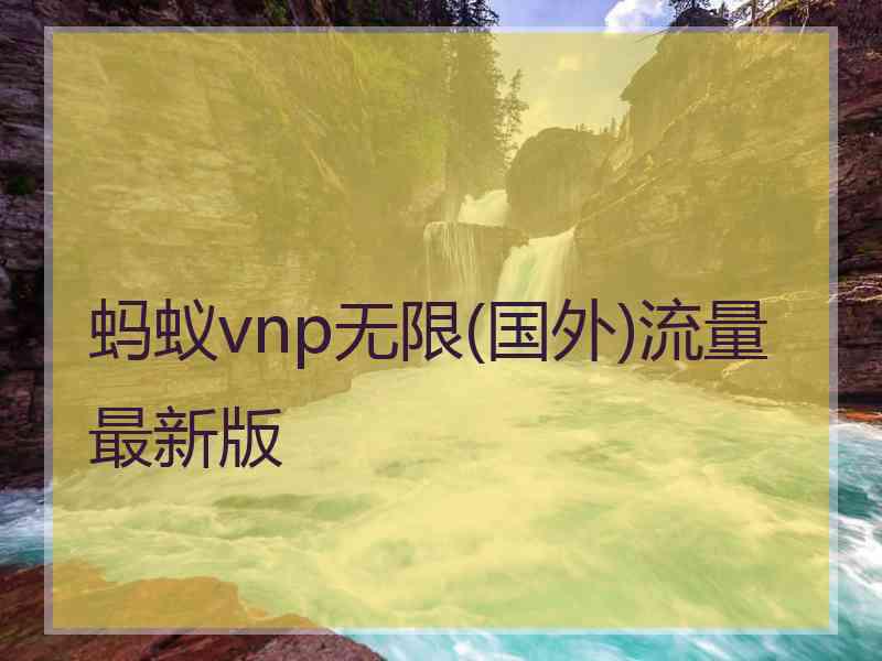 蚂蚁vnp无限(国外)流量最新版