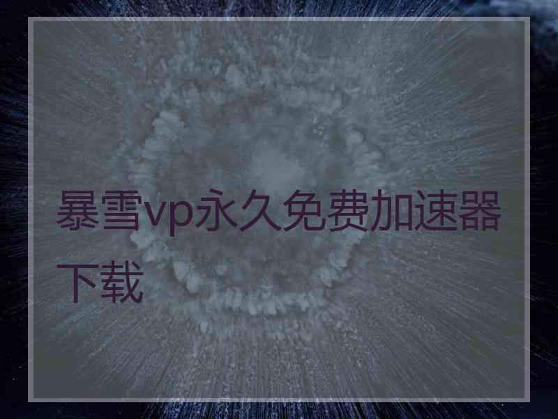 暴雪vp永久免费加速器下载