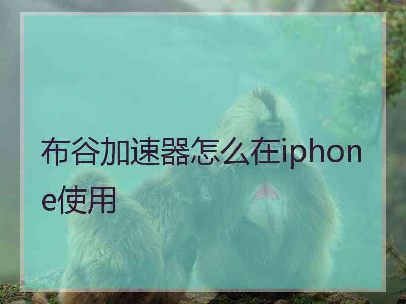 布谷加速器怎么在iphone使用