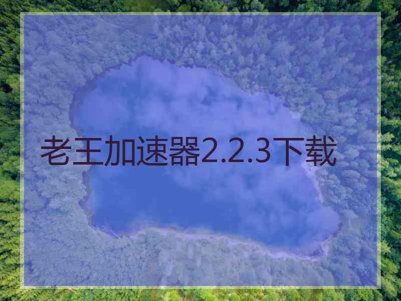 老王加速器2.2.3下载