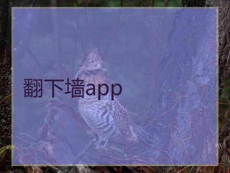 翻下墙app