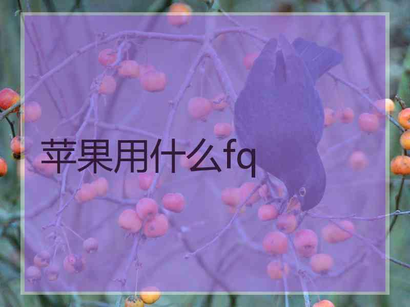 苹果用什么fq