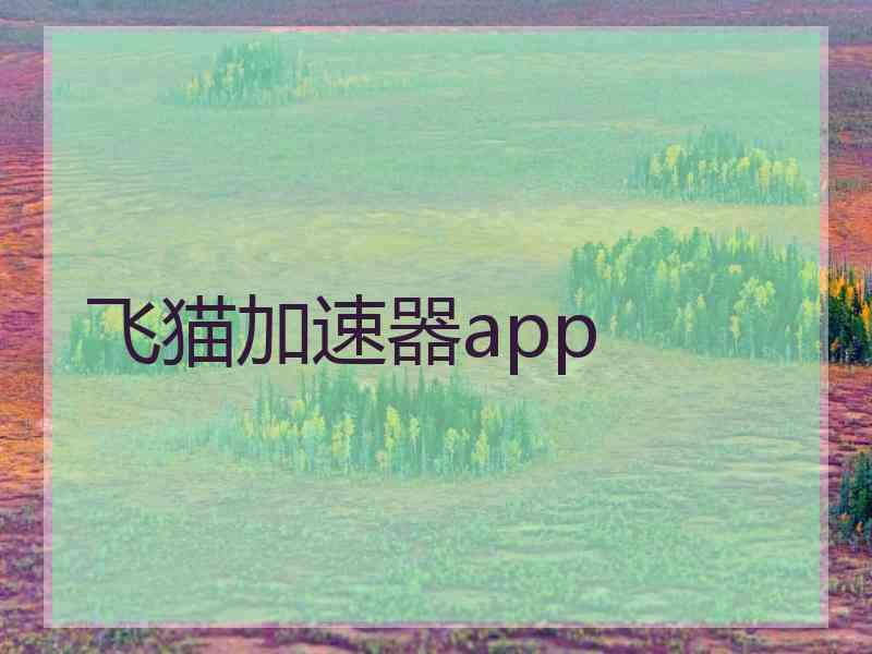 飞猫加速器app