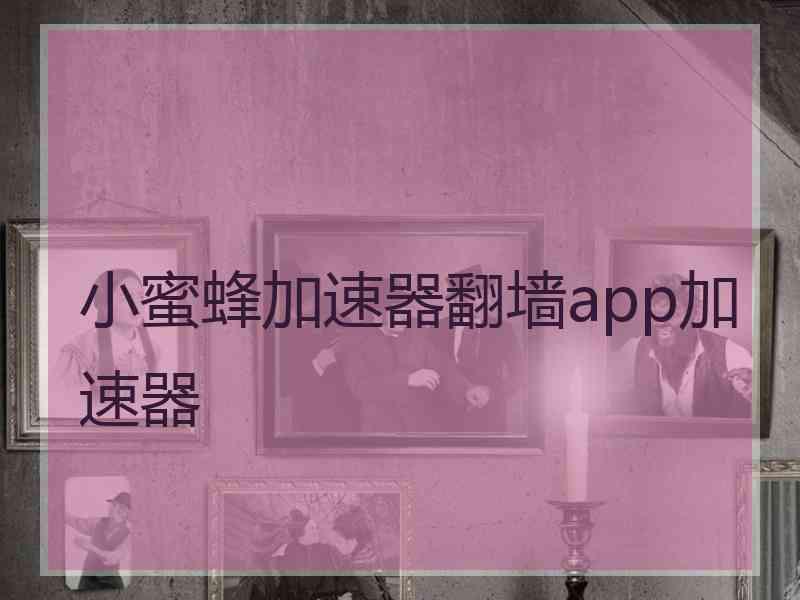 小蜜蜂加速器翻墙app加速器