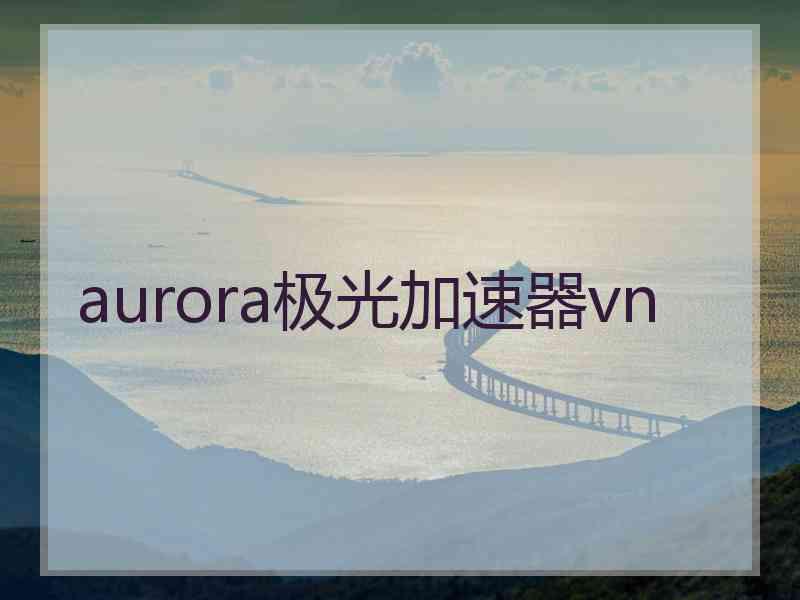 aurora极光加速器vn