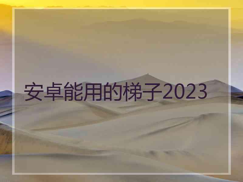 安卓能用的梯子2023