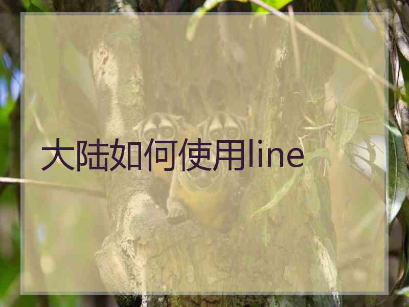 大陆如何使用line