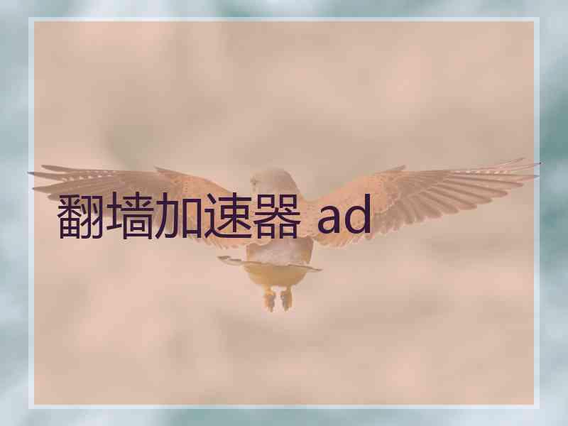 翻墙加速器 ad