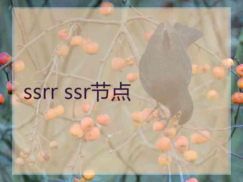 ssrr ssr节点