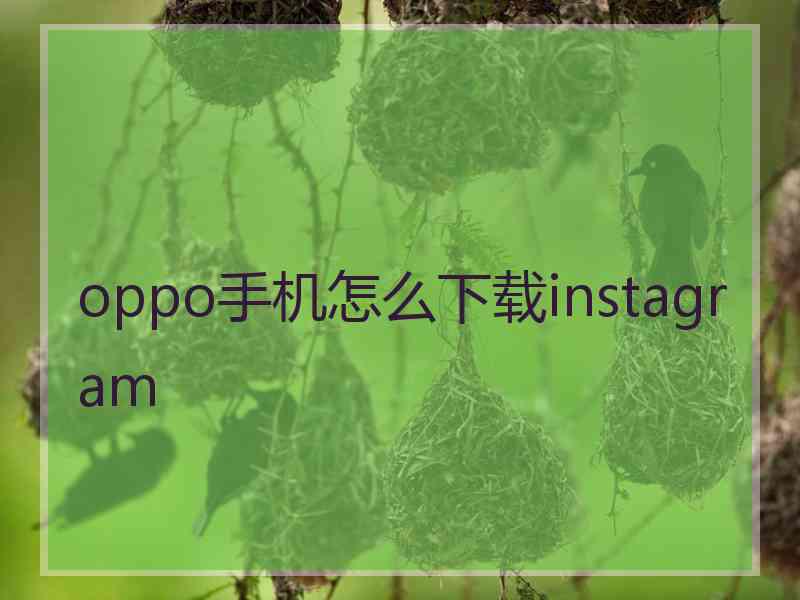 oppo手机怎么下载instagram