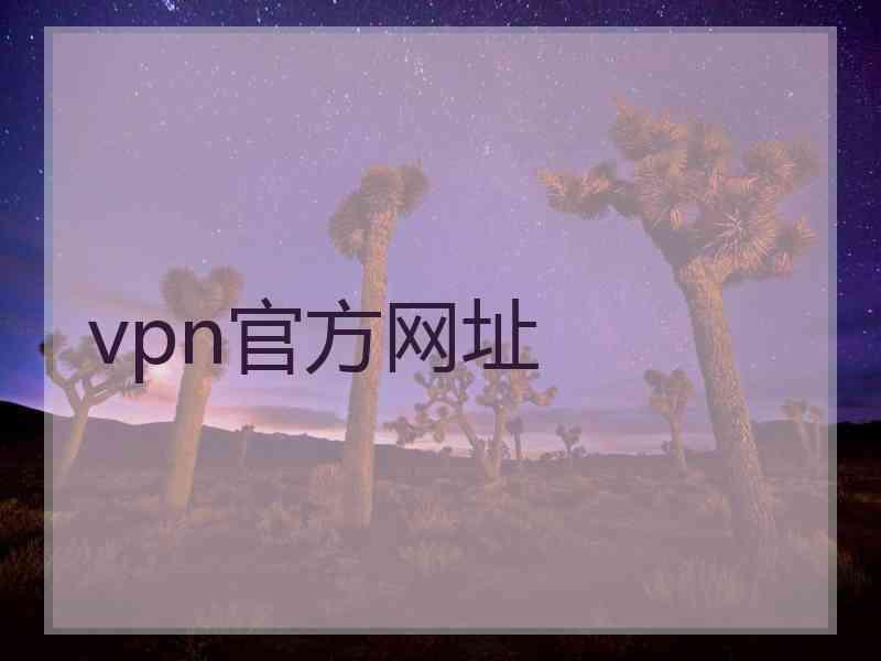 vpn官方网址