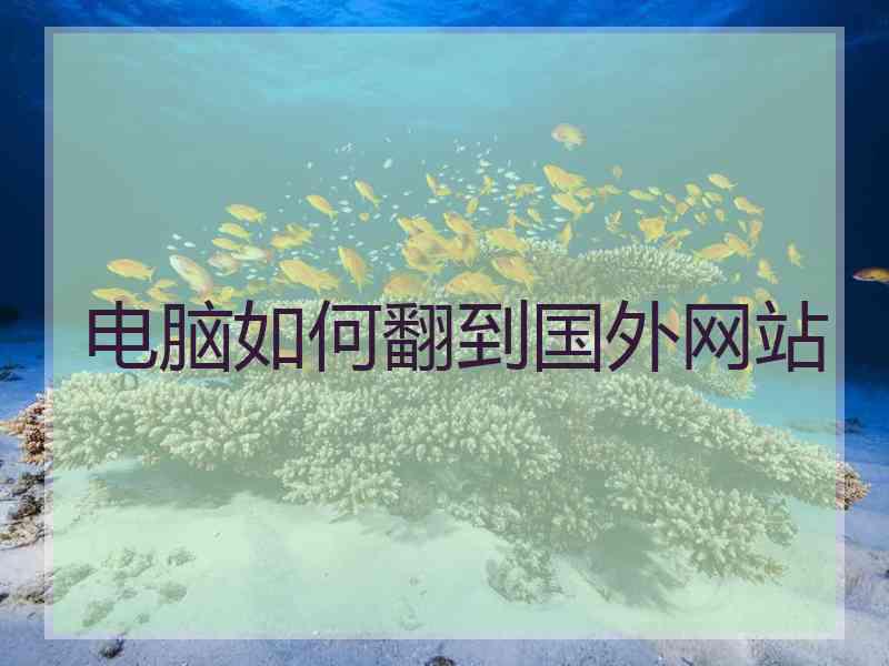 电脑如何翻到国外网站