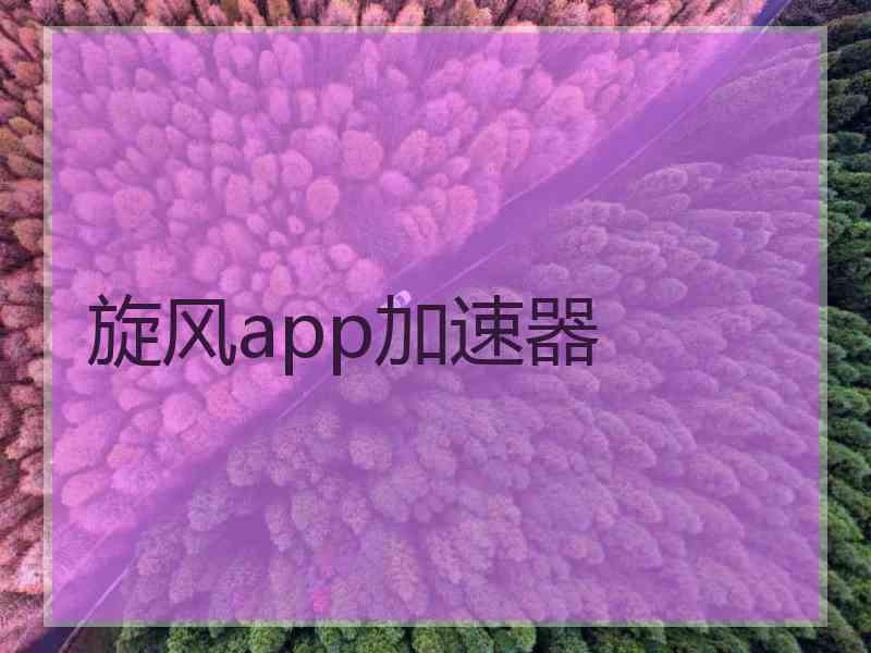 旋风app加速器