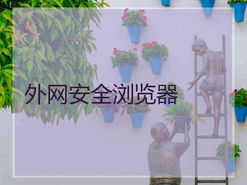 外网安全浏览器