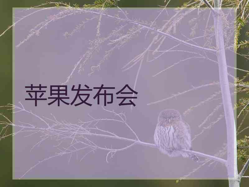 苹果发布会