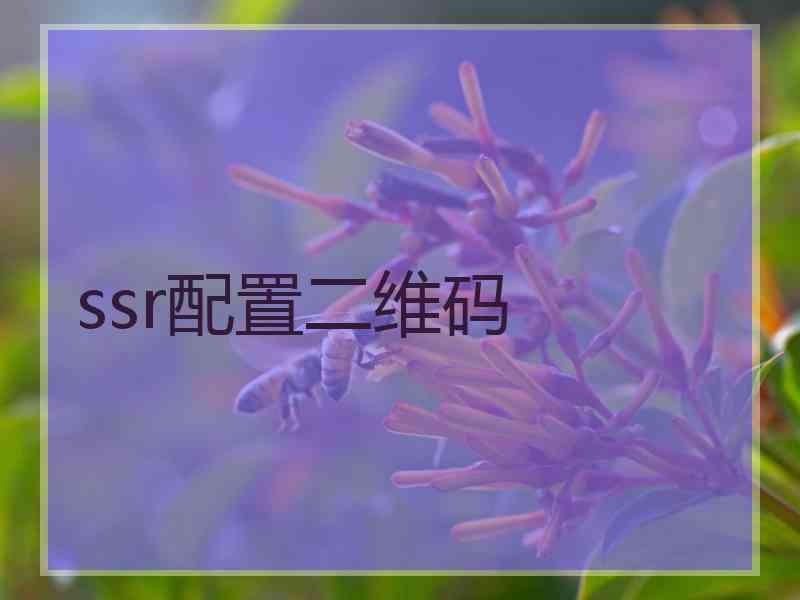 ssr配置二维码