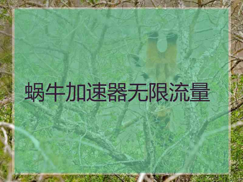 蜗牛加速器无限流量